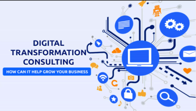 https://shibdesk.com/wp-content/uploads/2023/01/Digital-Transformation-Consulting.png