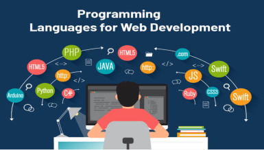 Web programming services