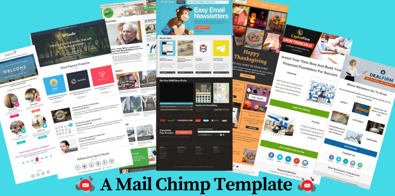 https://shibdesk.com/wp-content/uploads/2023/02/Design-mailchimp-constant-contact-newsletter-template-services.png